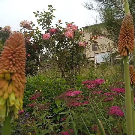 La Pommeraie Appartement
