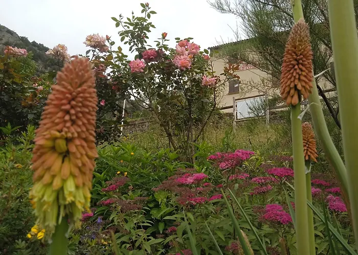 La Pommeraie 公寓